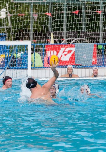 Festival Days - Cheltenham Swimming and Water Polo Club